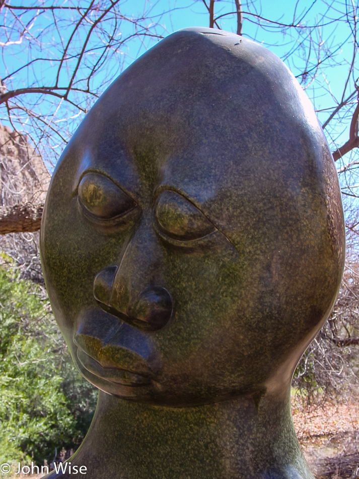  Chapungu Sculptures at the Boyce Thompson Arboretum State Park in Superior, Arizona