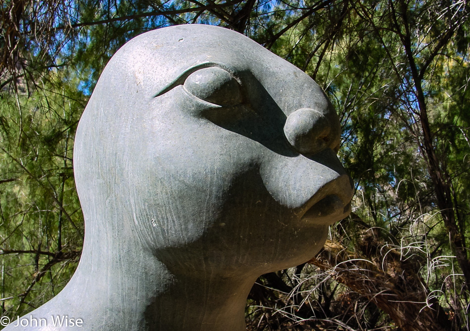  Chapungu Sculptures at the Boyce Thompson Arboretum State Park in Superior, Arizona