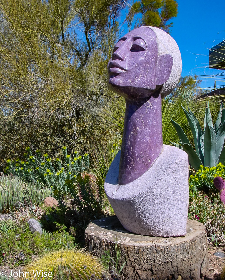  Chapungu Sculptures at the Boyce Thompson Arboretum State Park in Superior, Arizona