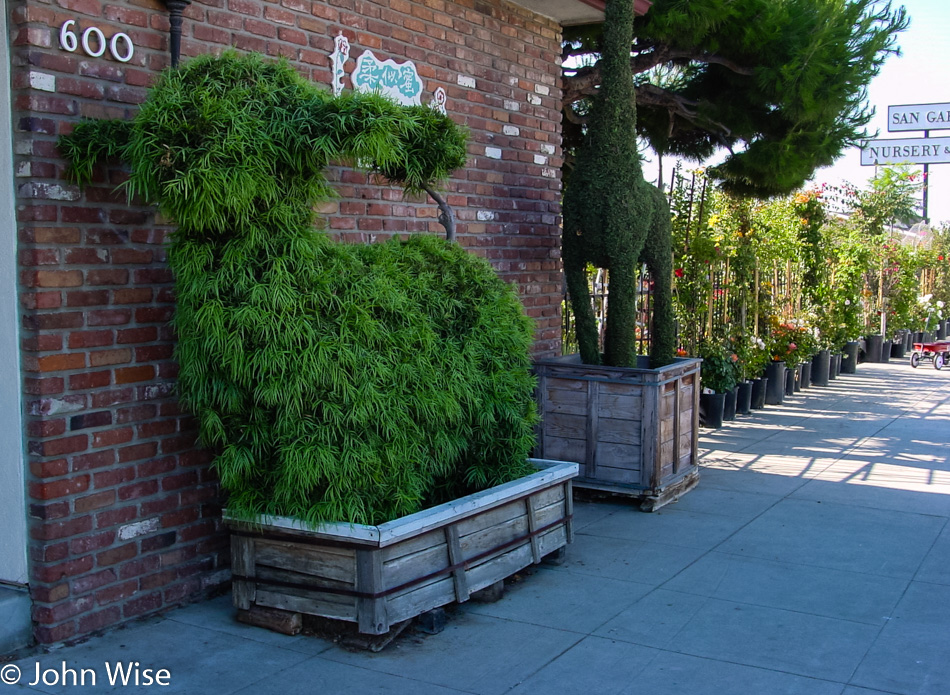 San Gabriel Nursery in San Gabriel, California