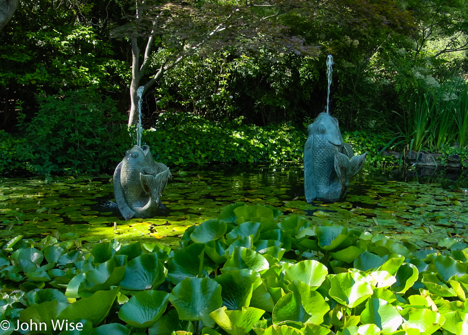 Descanso Gardens in La Cañada Flintridge, California