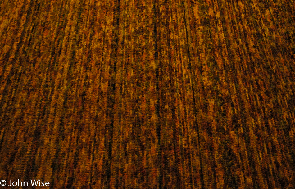 Carpet in cheap motel, Wyoming