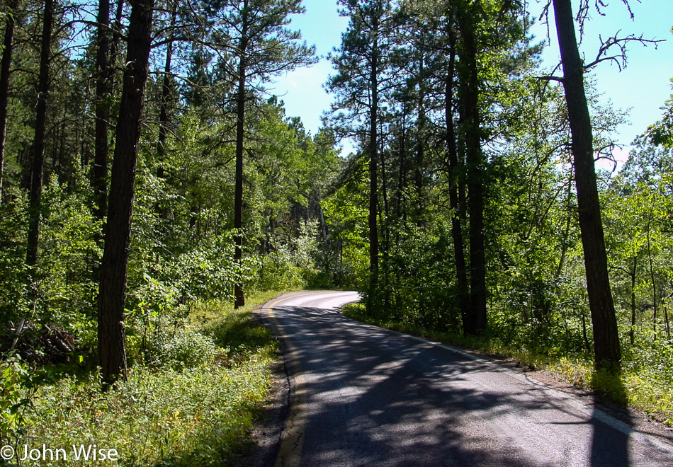 Custer State Park in South Dakota