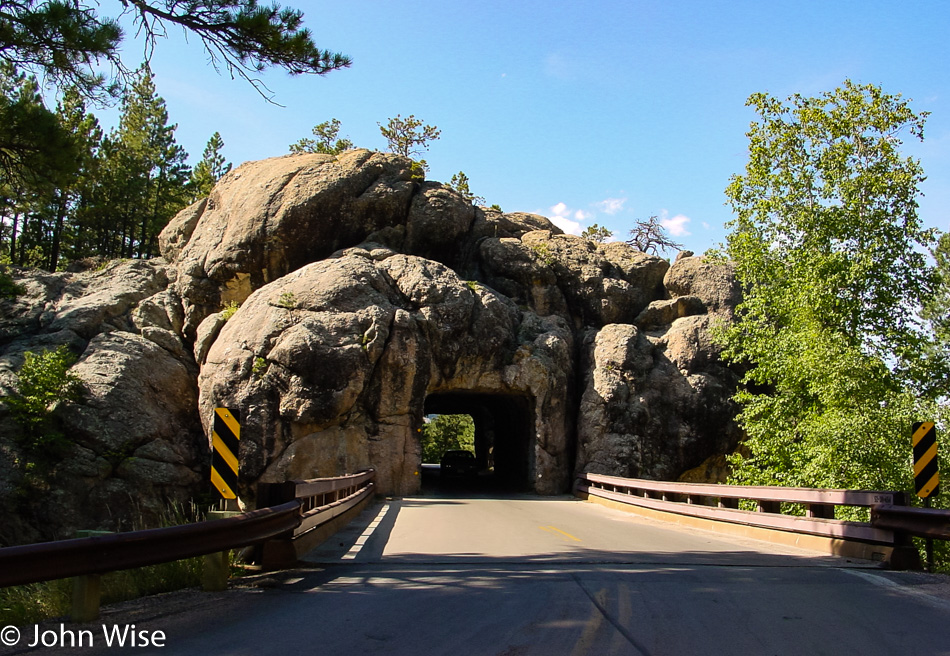 Custer State Park in South Dakota