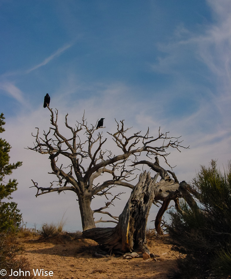 Natural Bridges National Monument in Utah