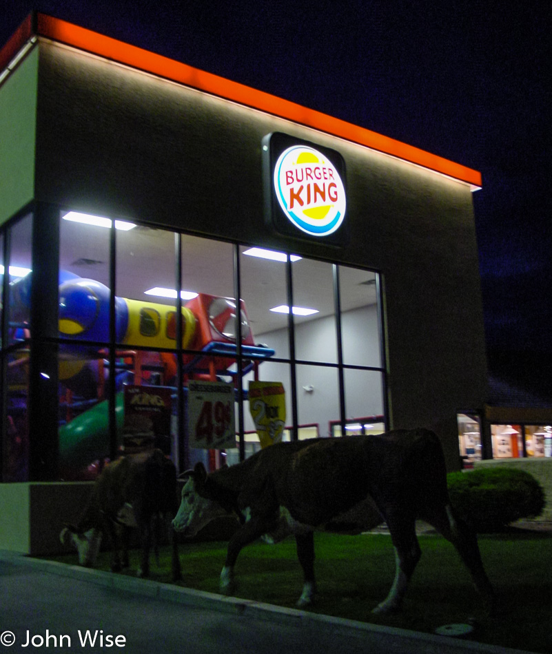 Burger King in Kayenta, Arizona