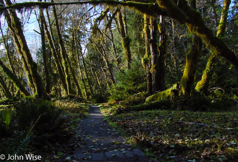 Olympic National Park Washington