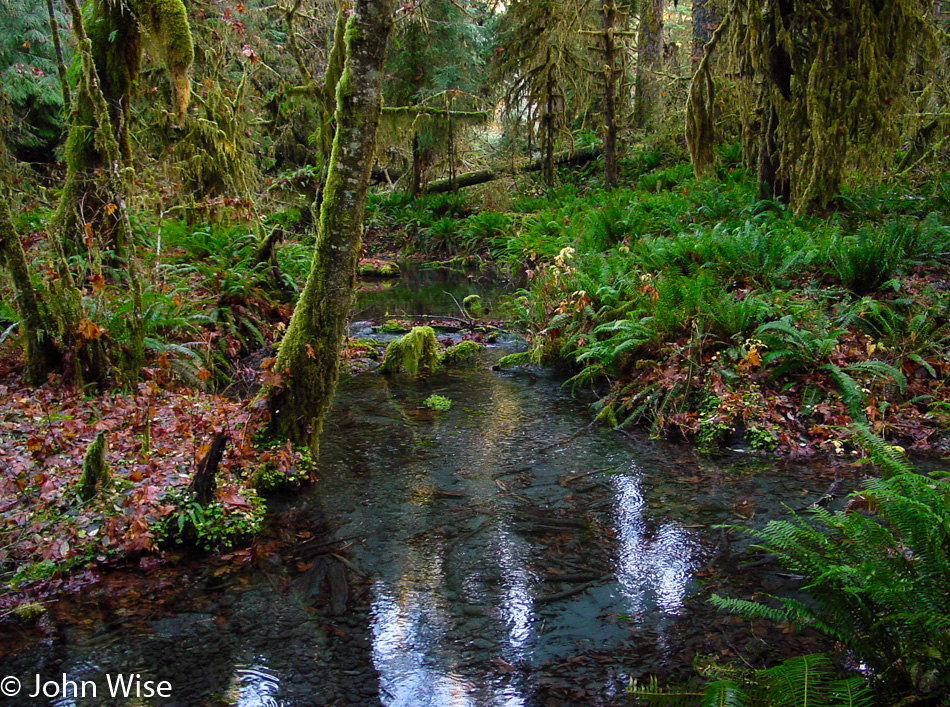 Olympic National Park Washington