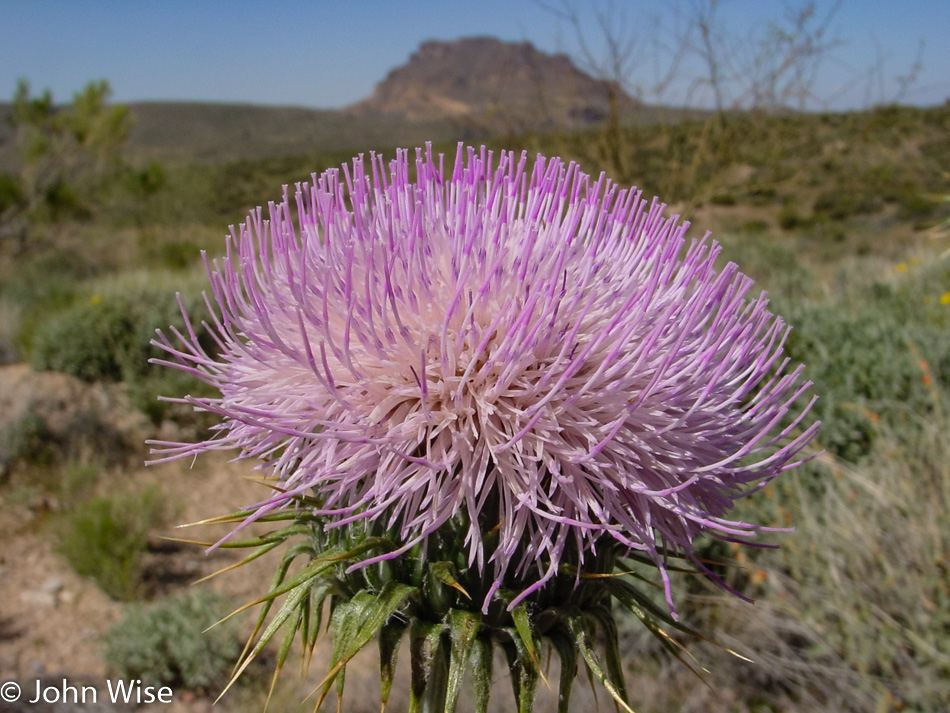 South of Phoenix, Arizona