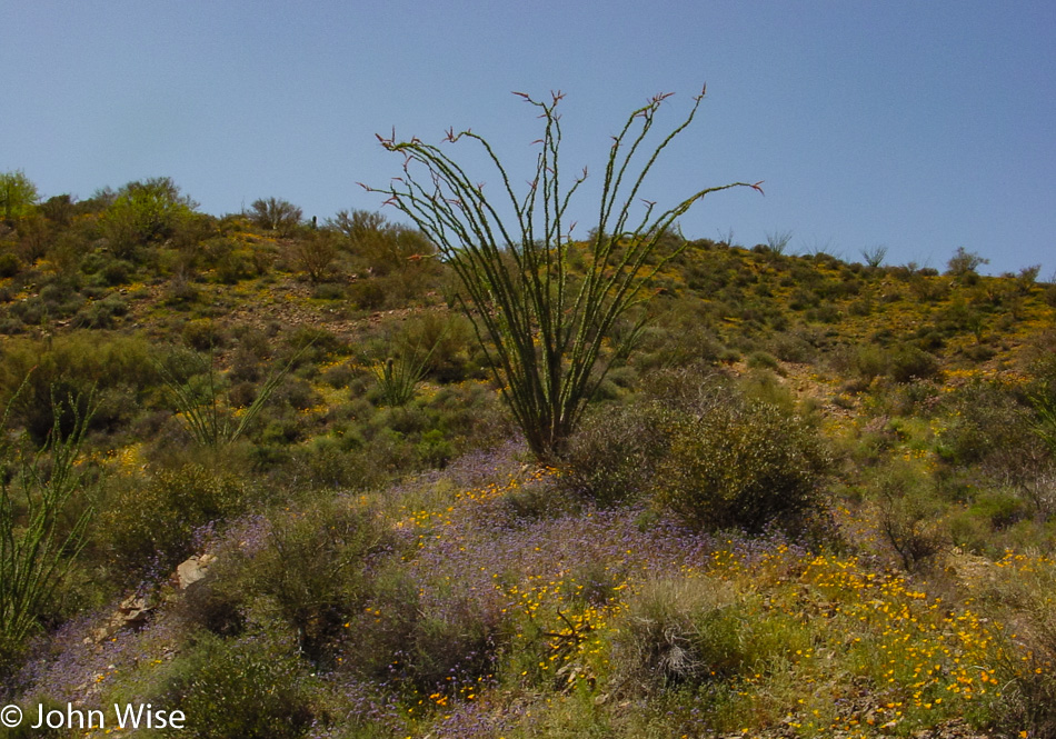 South of Phoenix, Arizona