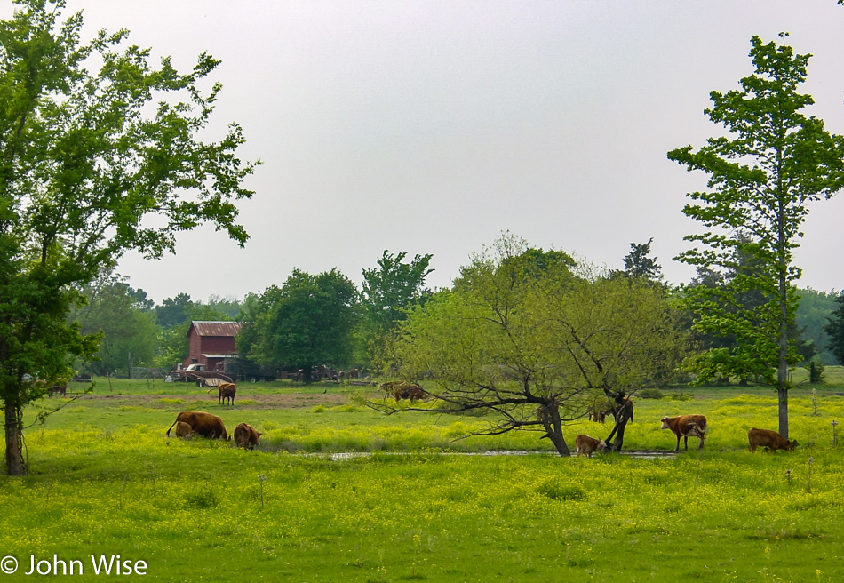 Eastern Texas near Interstate 20