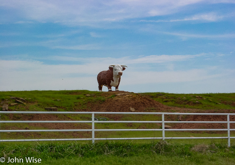 Bull statue at Lonestar Hereford Ranch in Ringgold, Texas