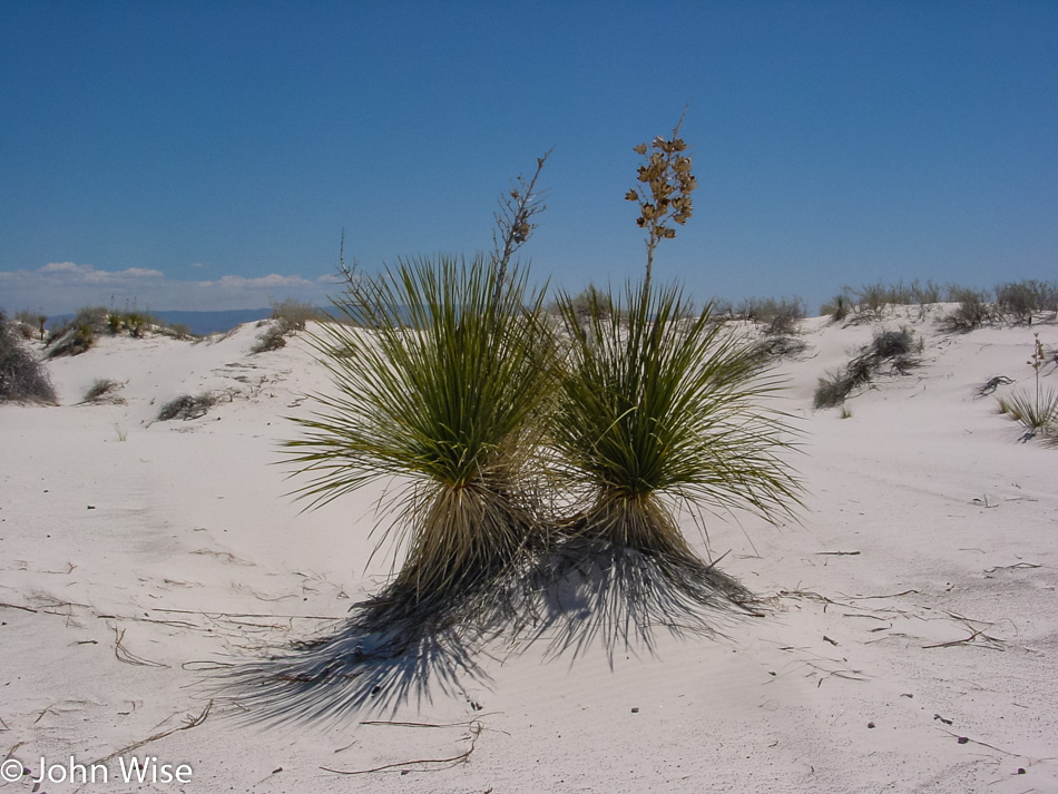 White Sands National Monument in Alamogordo, New Mexico