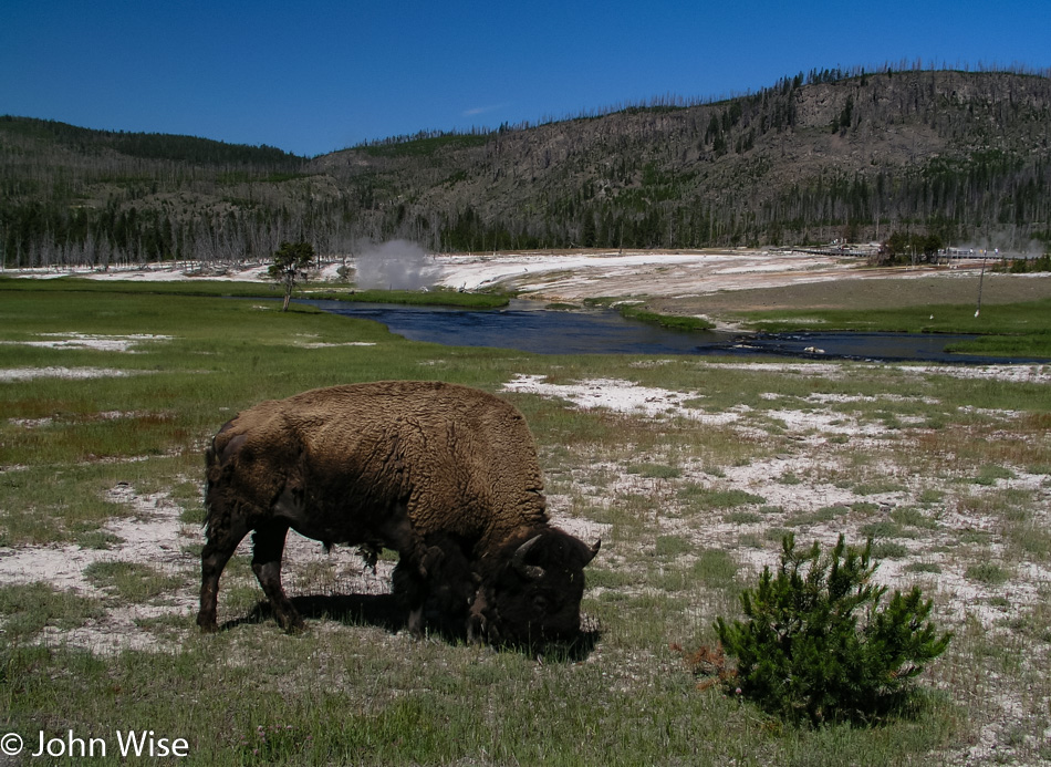 Yellowstone National Park in Wyoming