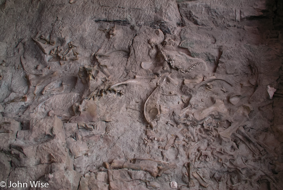 Dinosaur National Monument in Utah