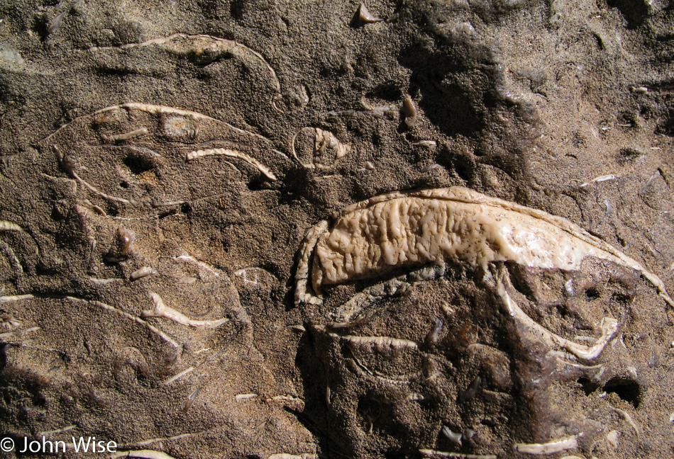 Chaco Culture National Historic Park in New Mexico