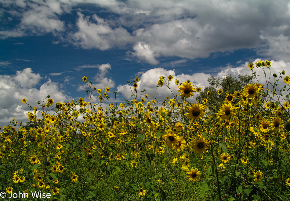 Roadside in New Mexico