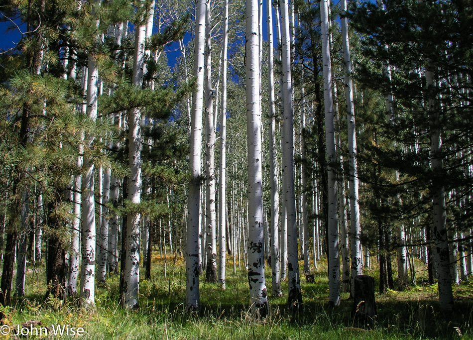 Near Flagstaff, Arizona