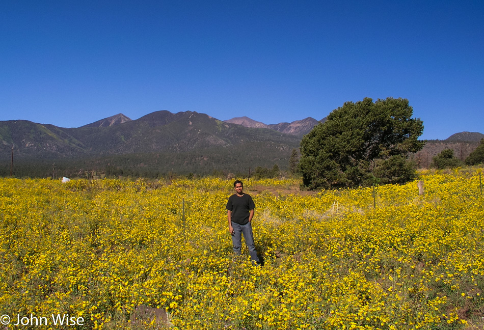 Jay Patel in Flagstaff, Arizona