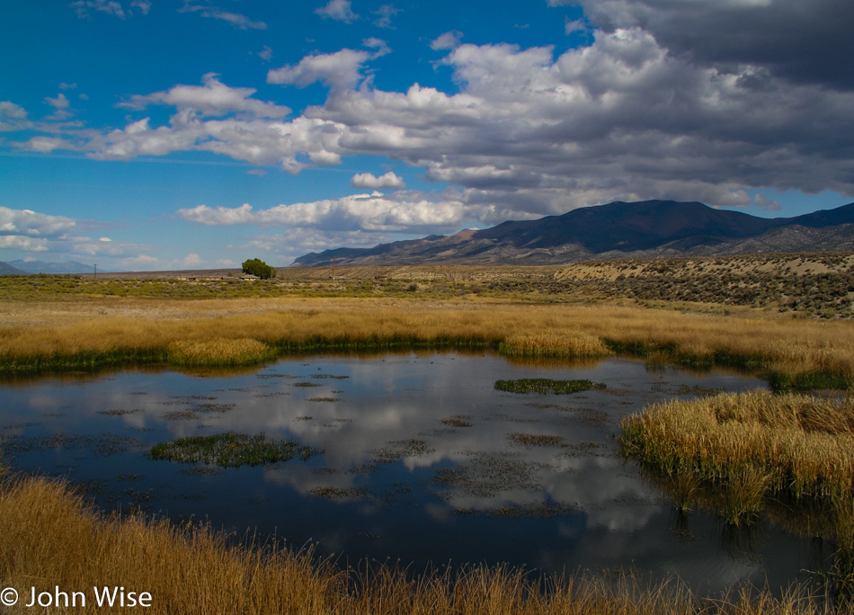 Nevada