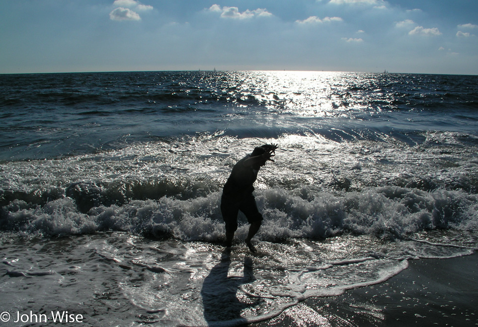 Jay Patel at Santa Monica Beach in Southern California