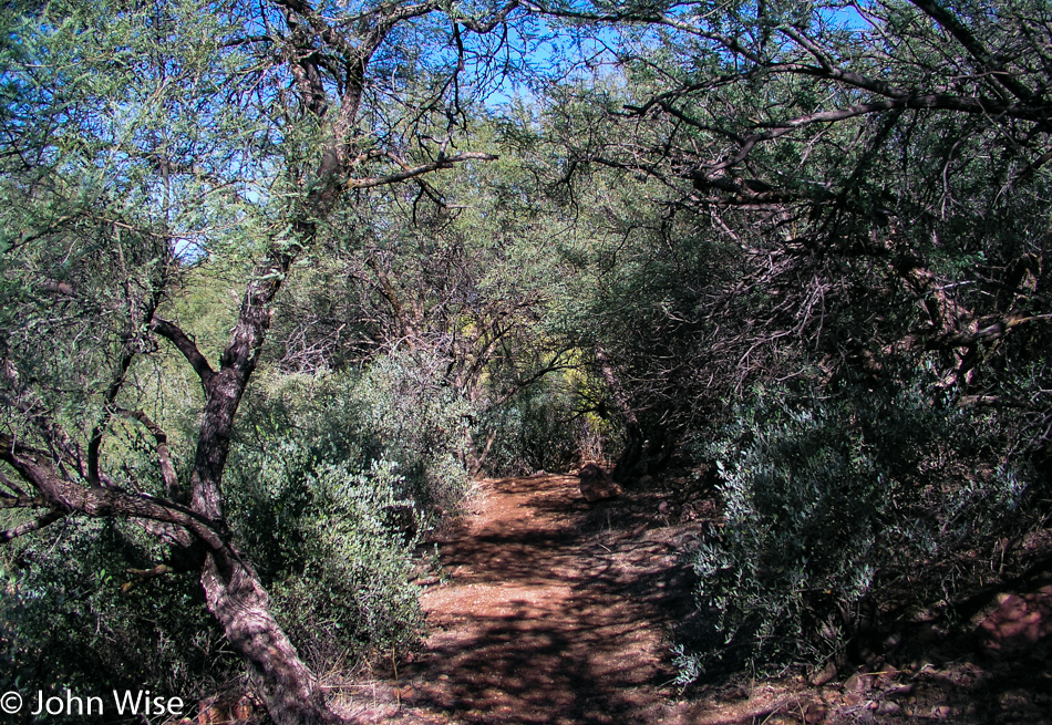 Tonto National Monument in Arizona