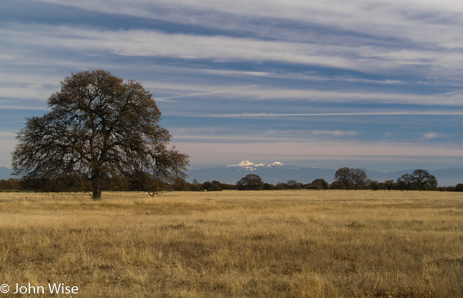 Mount Shasta in the distance, Northern California