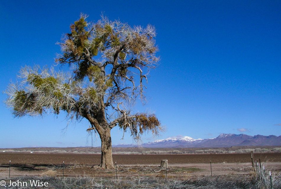 East of Solomon on Highway 191 in Arizona