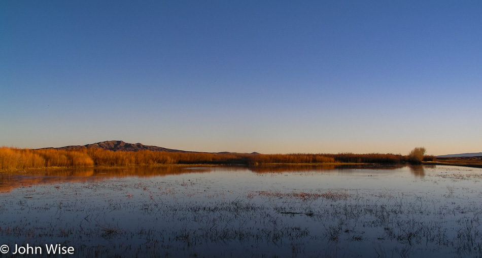 Bosque Del Apache Wildlife Refuge south of Socorro, New Mexico