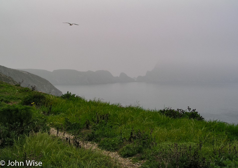 Anacapa Island part of the Channel Islands National Park in California