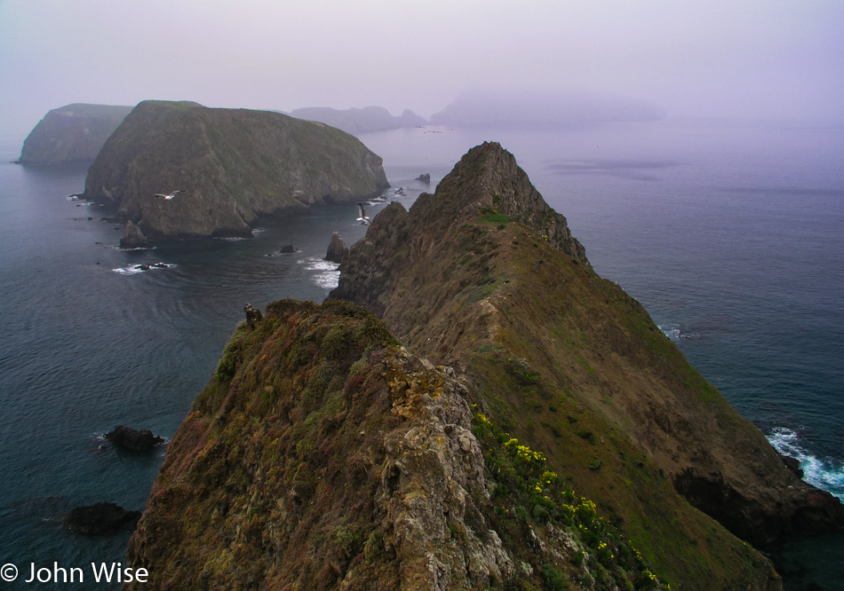 Anacapa Island part of the Channel Islands National Park in California