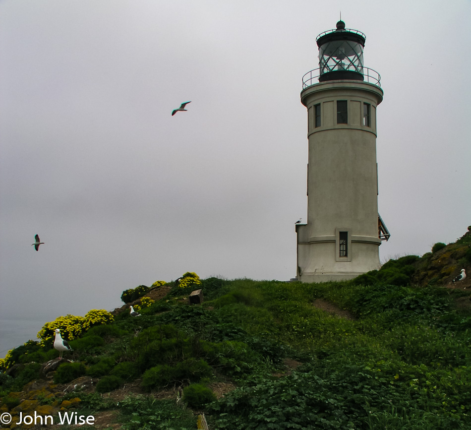 Anacapa Island part of the Channel Islands National Park in California