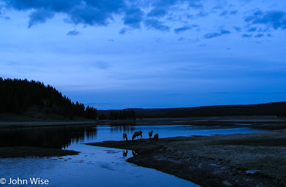 Yellowstone National Park at Dusk