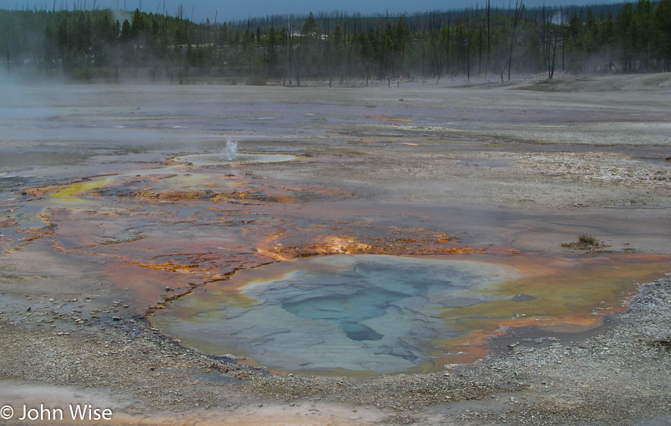 Hot springs in Yellowstone National Park