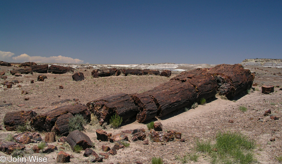 Petrified Forest National Park, Arizona