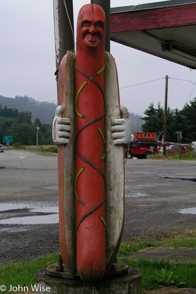 Olympic Peninsula in Washington