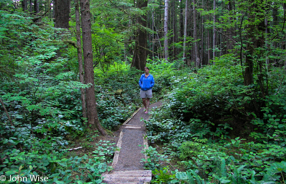 Olympic Peninsula in Washington