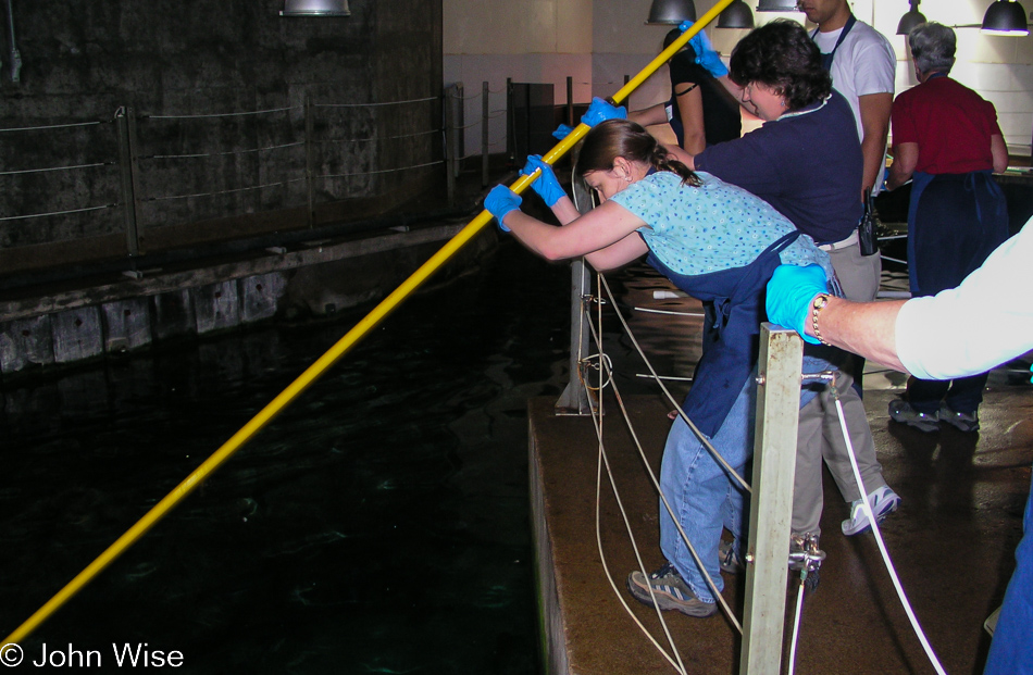 Caroline Wise at the Monterey Bay Aquarium in Monterey, California