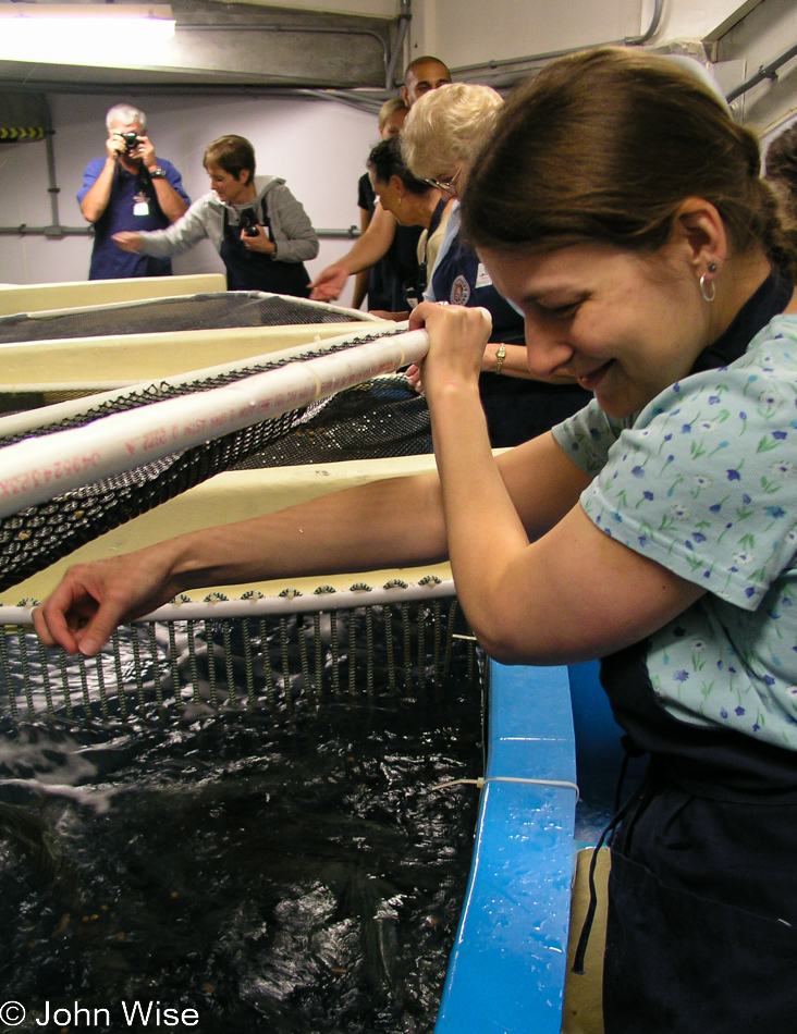 Caroline Wise at the Monterey Bay Aquarium in Monterey, California