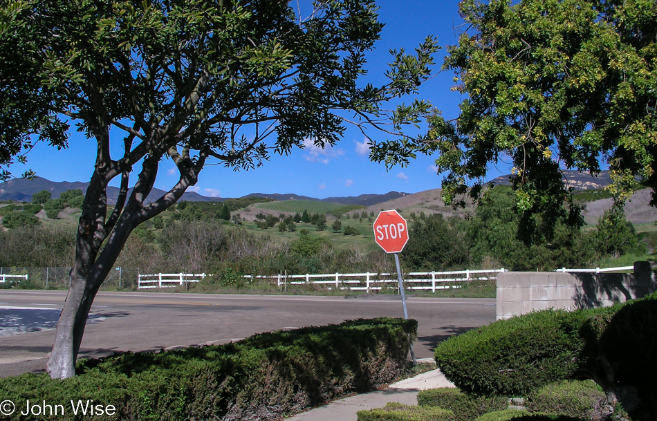 View from 288 Placer Drive in Goleta, California