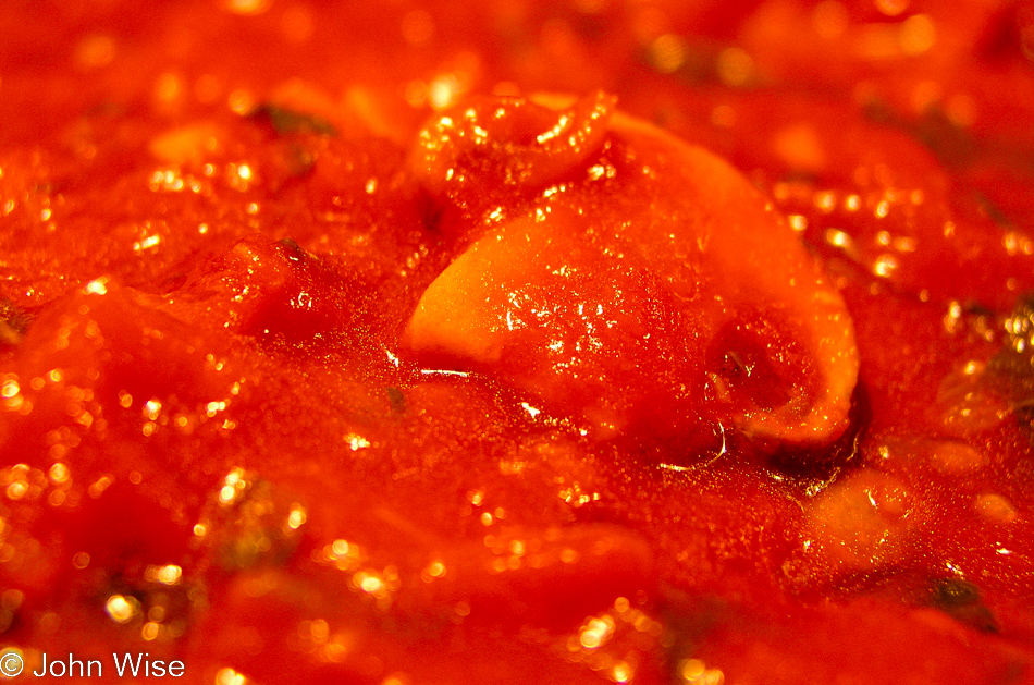 Macro image of my home made tomato sauce with a large mushroom floating on top