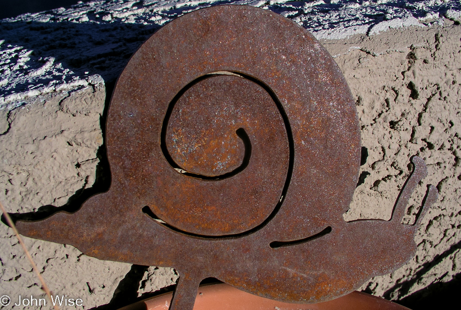 Our rusted metal snail keeping plants on the balcony company