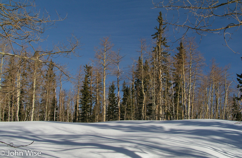 Near Cedar Breaks, Utah