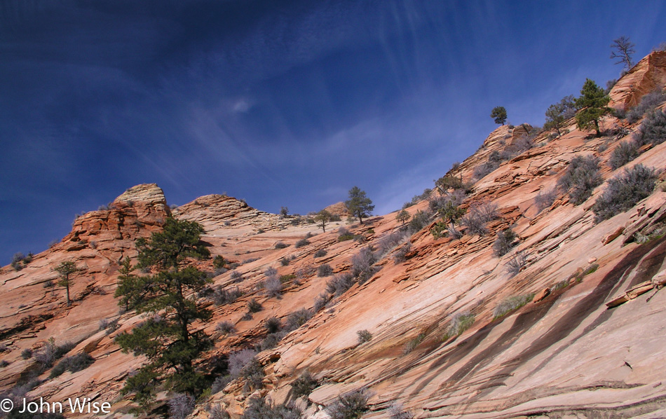 Zion National Park in Utah