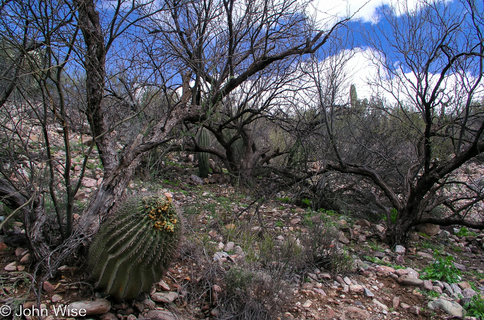 Somewhere along Arizona Highway 79