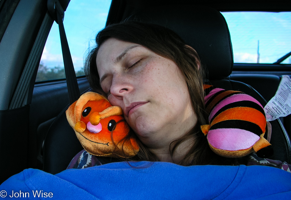 Caroline Wise sleeping in the car
