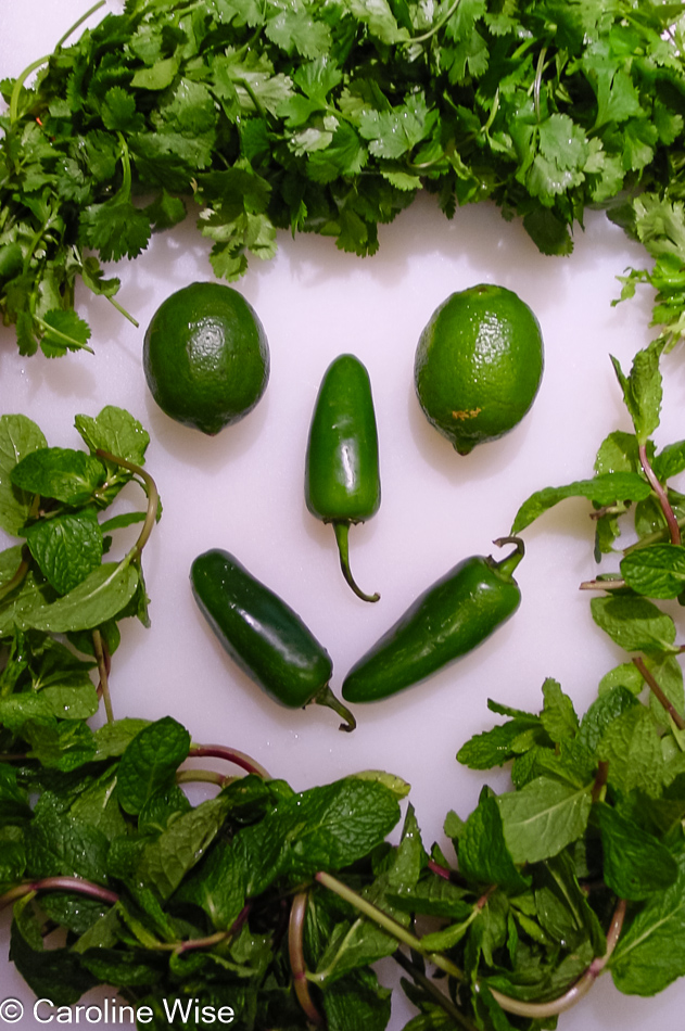 A smiling arangement of cilantro, fresh mint, limes, and jalapenos arre waiting to be chopped, squeezed and blended with water and spcies to make a yummy dipping sauce for the Indian dish Pani Puri