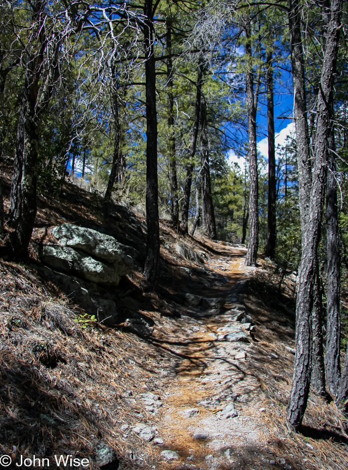 The trail descends to 6400 feet before climbing to 7010 feet in the way to Heart of Rocks in Chiricahua National Monument, Arizona