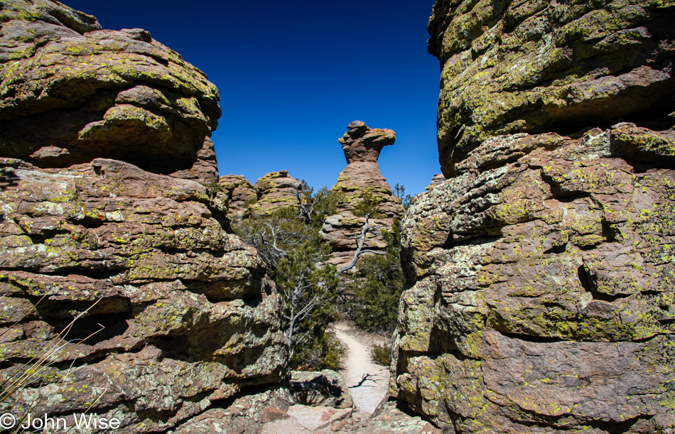Camel Head rock on the Heart of Rocks trail at Chiricahua National Monument in Arizona