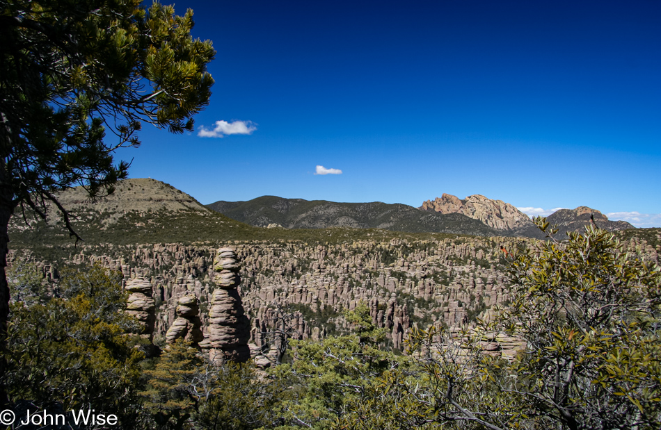 A sea of spires at the Chiricahua National Monument in Arizona